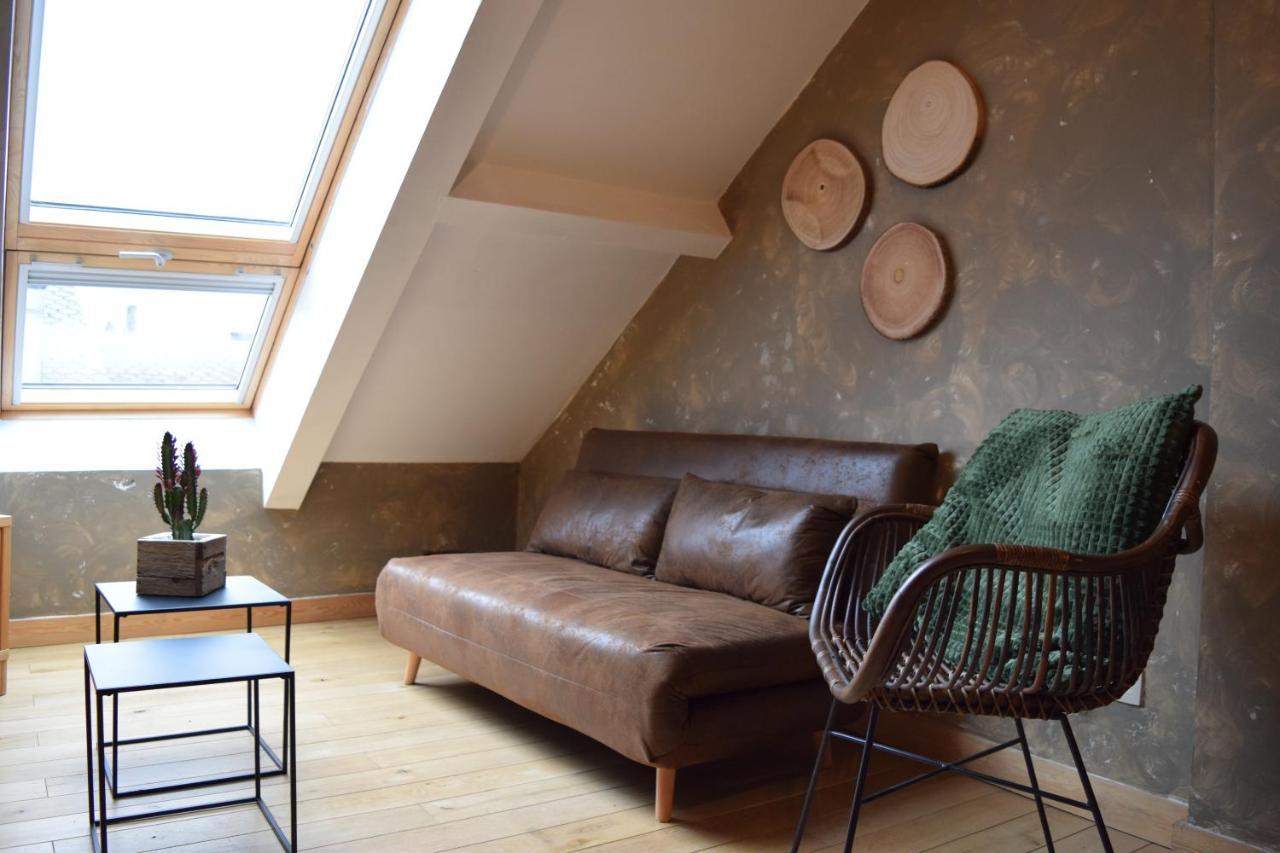 Le Patio Belle Maison En Plein Centre Ville, Avec Grande Terrasse Au Calme Bastogne Eksteriør billede